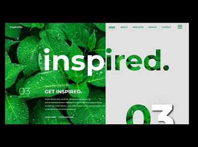 Web Design branding design graphic design typography
