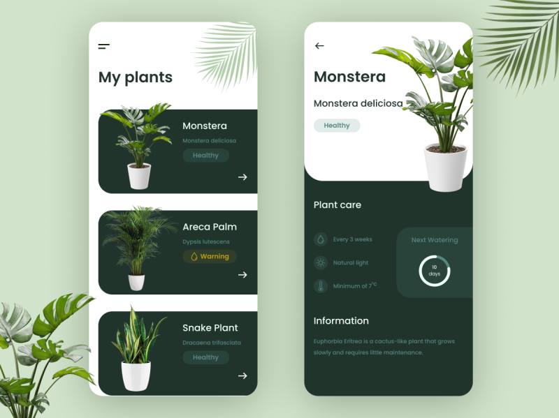 Plant Care App By Sanghamitra Sahoo On Dribbble   Plant Care App 