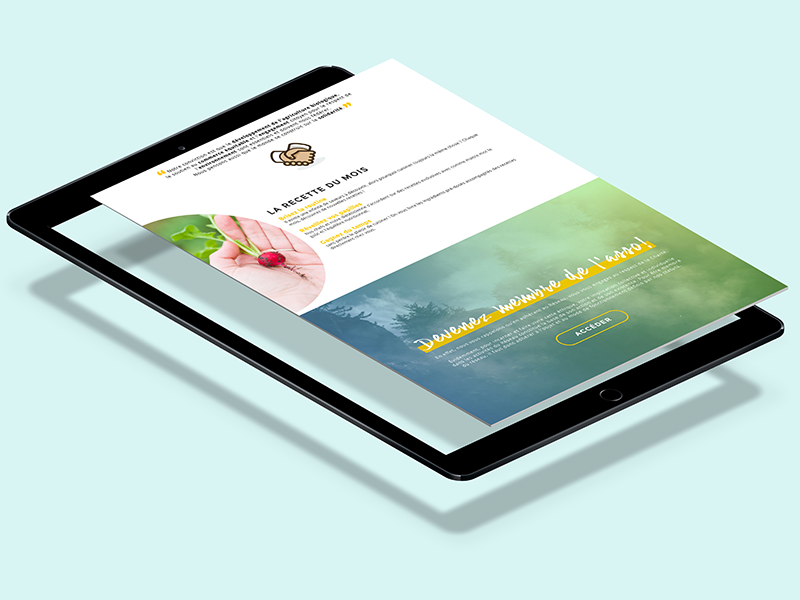 Graineterie Website Project adobe web design ui ux