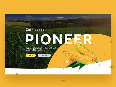 DuPont Pioneer agriculture banner corn design header landing website