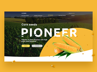 DuPont Pioneer