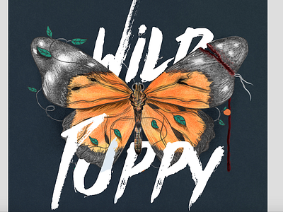 Wild Puppy butterfly detail illo illustration monarch script texture typography