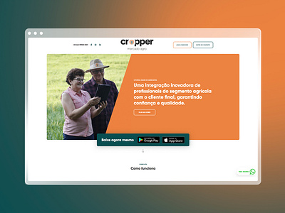 Website - Cropper Mercado Agro