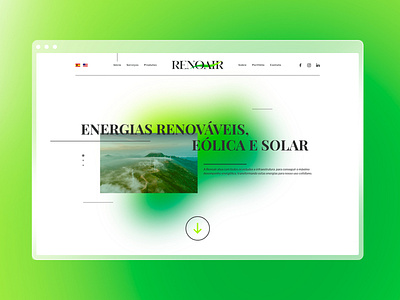 Website - Renoair