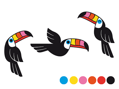 Toucan color palette illustration toucan tropical vector