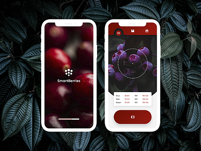 Mobile application app berries design fruit logo mobile application ui ux web