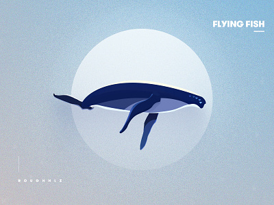 Flying fish～ 一个小练习