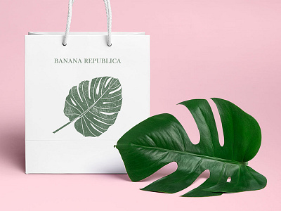 Monstera Bag branding illustration leaf monstera packaging vector