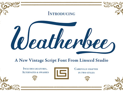 Weatherbee Script_1 branding design display font elegant font hand drawn logo script font sketch type typography