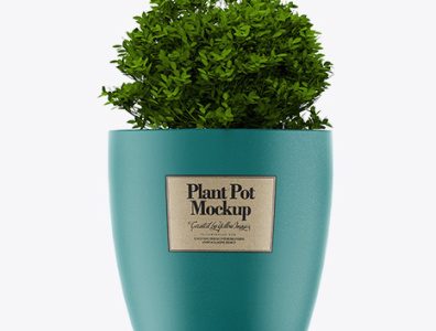 Download Psd Mockup Ceramic Plant Pot Mockup HQ design graphic design illustration vector