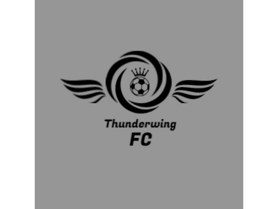 Football Club ThunderWing 3d logo abstract logo buisnes loog company logo football graphic design logo profesional loog sports logo vector logo