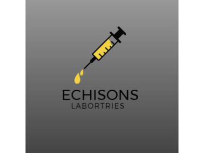 Echisons 3d 3d logo abstract logo company logo design graphic design illustration logo motion graphics music logo ui w letter logo