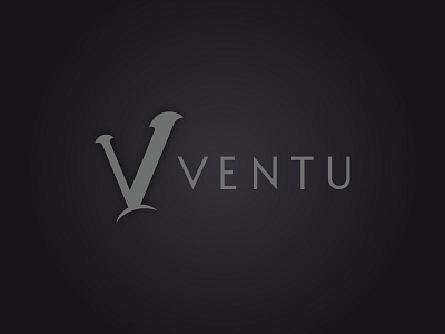 Ventu brand corporate identity import logo luxury minimalist