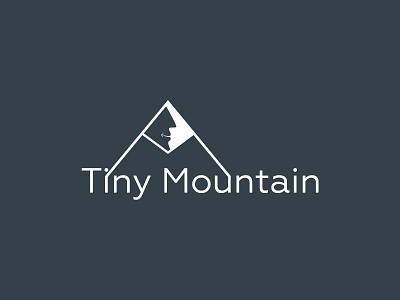 Tiny Mountain brand business flat identity logo minimalist mountain