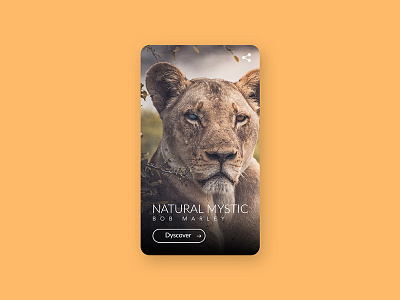 Wild Nature fullscreen home mobile presentation savannah ui ux