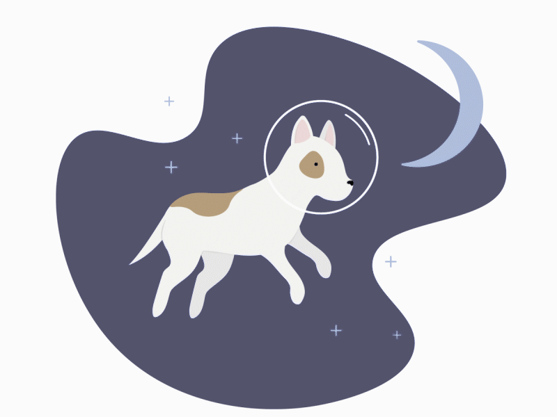 spacedog animation dog illustration space