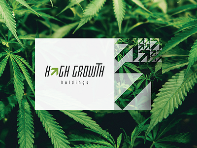 High Growth Holdings branding branding design cannabis cannabis branding cannabis logo logo