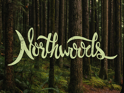 Northwoods calligraphy design handmade illustration lettering northwoods script stockphoto type typography vector