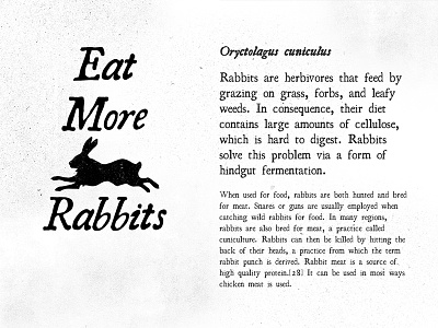On the Rocks Rabbitry Type Treatment branding farm handmade hobby identity logo rabbit ranch typography vintage visual identity