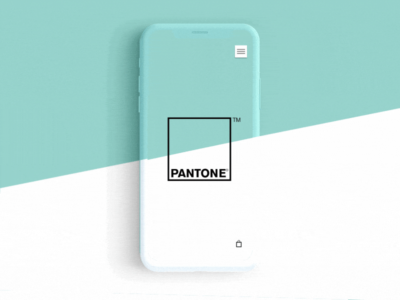 Pantone E-commerce animation app brand business design gif ui ux website