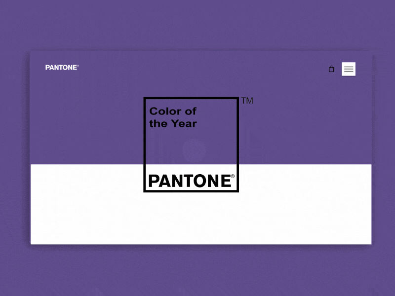 Pantone Landing Page animation ecommerce gif landing page ui ux website