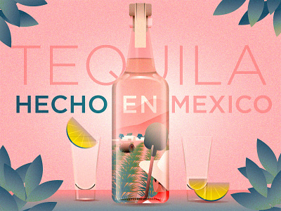 Tequila, Hecho En Mexico hecho en mexico illustration lime liquor mexico mood tequila