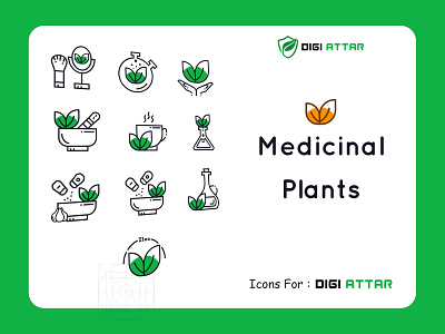 Medicinal Plants icons branding design icon icons icons pack icons set iconset illustration medicinal medicinal plants ui ux