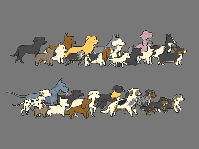 Dog Walk basset hound beagle cocker spaniel dalmatian dogs frenchie golden retriever great dane labrador poodle pug westie