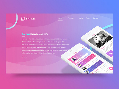 BAIKE Website Concept Design