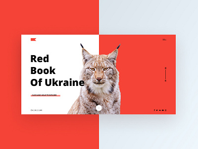 Red Book of Ukraine concept animal ankapit concept design red red book ui web webdesign webdesigner website