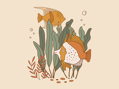 Fish illustration