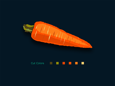 Carrot Illustration carrot cut colors daily object design practice illustration