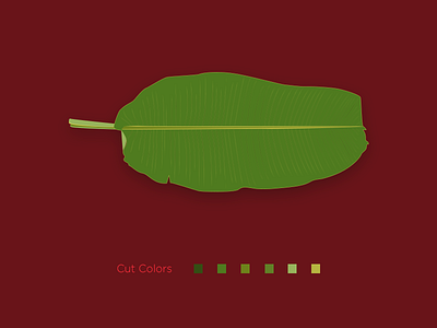 Banana Leaf illustration banana leaf cut colors daily object design practice illustration