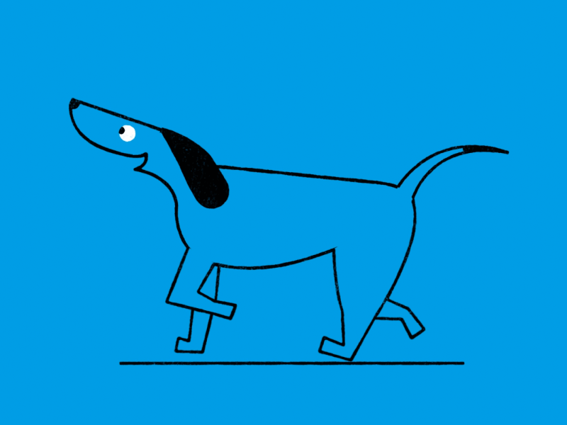 Rex animation dog motion graphics run runcycle trot