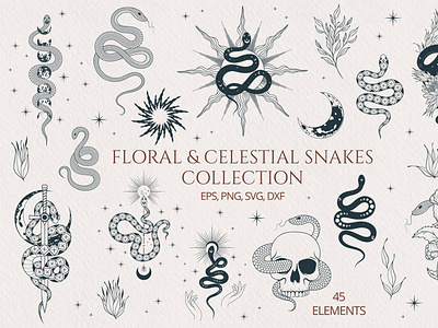 Hand Drawn Floral & Celestial Snake Set