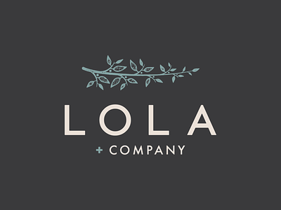 Lola and Company brand design brand identity branding branding design brick and mortar design graphic design icon logo logo design signage smallbusiness storefront