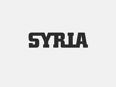 Syrian Crisis Web Timeline app crisis data datavis gif infograph infographic syria timeline web