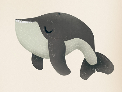 Midnight Whale illustration texture whale