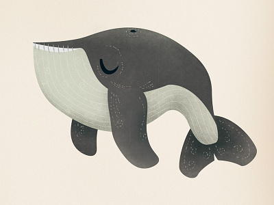 Midnight Whale