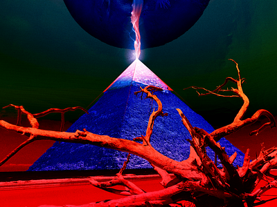 pyramid cycle [earthen axis] beach driftwood plasma pyramid skeleton tongue tree