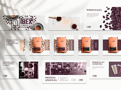 Ibex coffee co. branding design graphic design layout logo typography vector