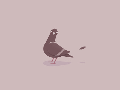 Pigeon