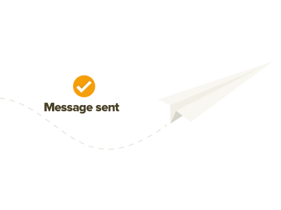 Message sent illustration web design