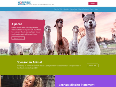 Charity Website Design design ecommerce ecommerce design ui ux web web design website