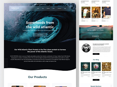 Kelpman Landing Page landing page design ui ui designer ui ux user experience