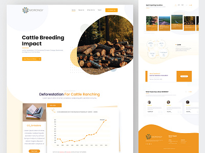 Morongy landing page landing page design ui design ui designer ui ux ux design