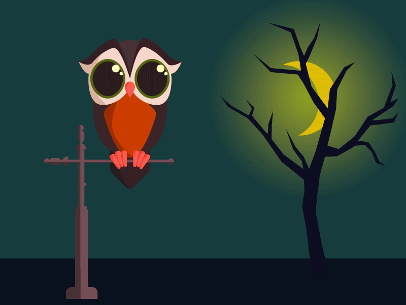 Scared Owl animated design flat gif moon night owl post scared sky tree