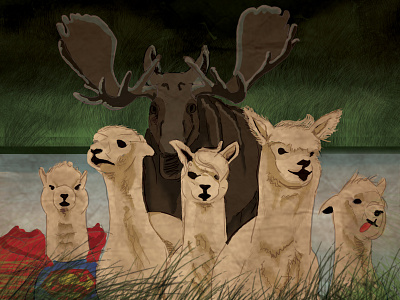 Llama Diaries bookcover illustration