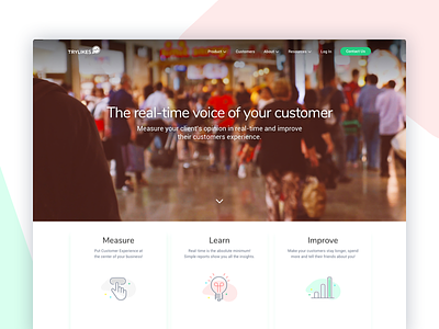 TryLikes Landing Page