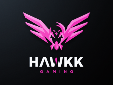 Hawkk Logo branding design esports gaming icon identity illustration letter logo mark mascot